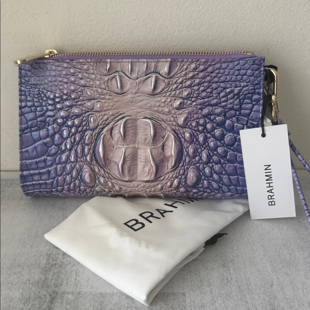 Brahmin daisy very